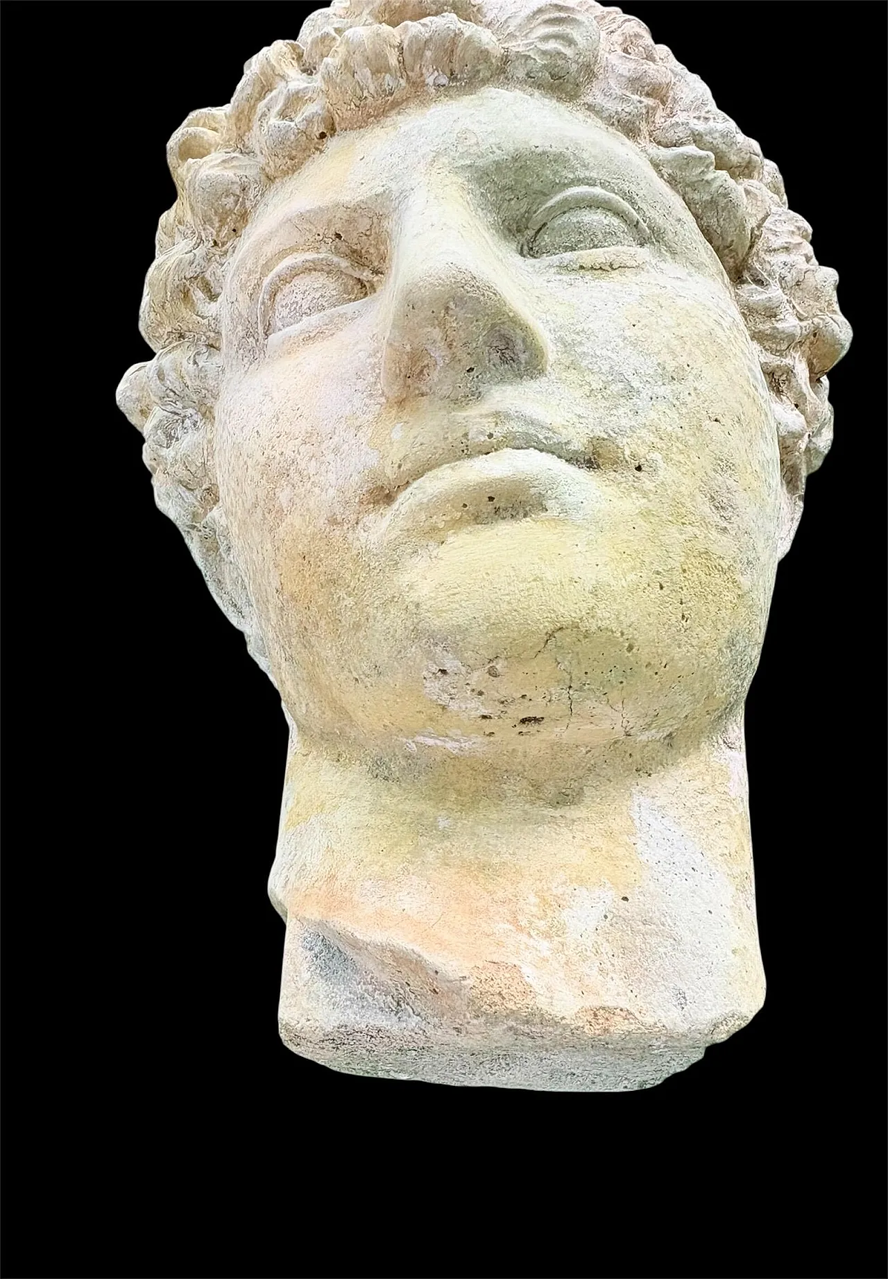 Bust of a young man, stoneware sculpture, 18th century 6