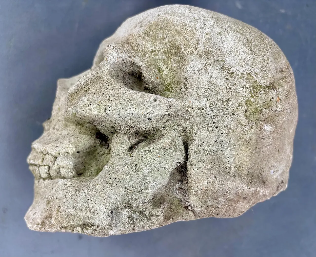 Gothic gargoyle head, stoneware relic sculpture, 18th century 2