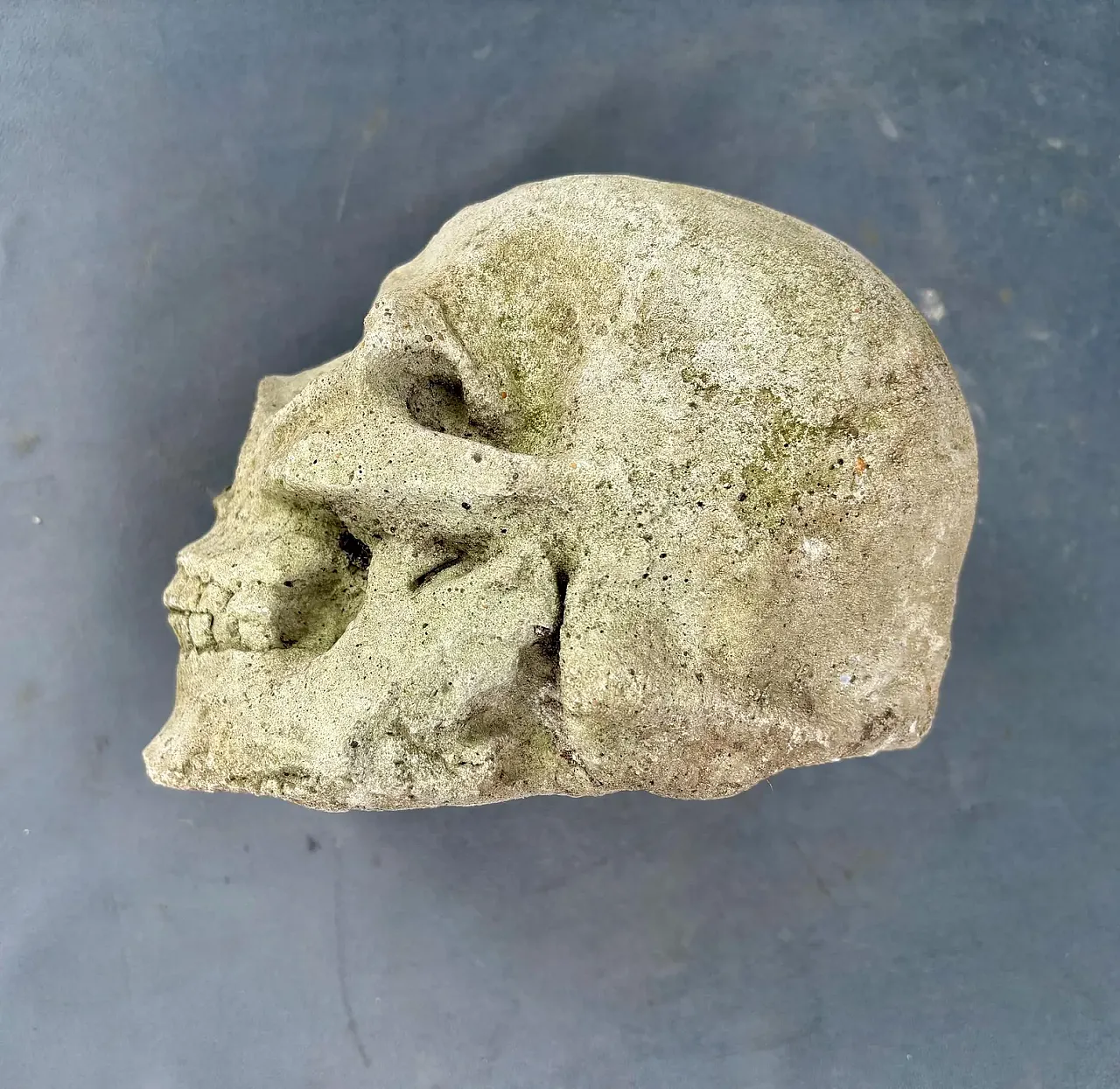 Gothic gargoyle head, stoneware relic sculpture, 18th century 3