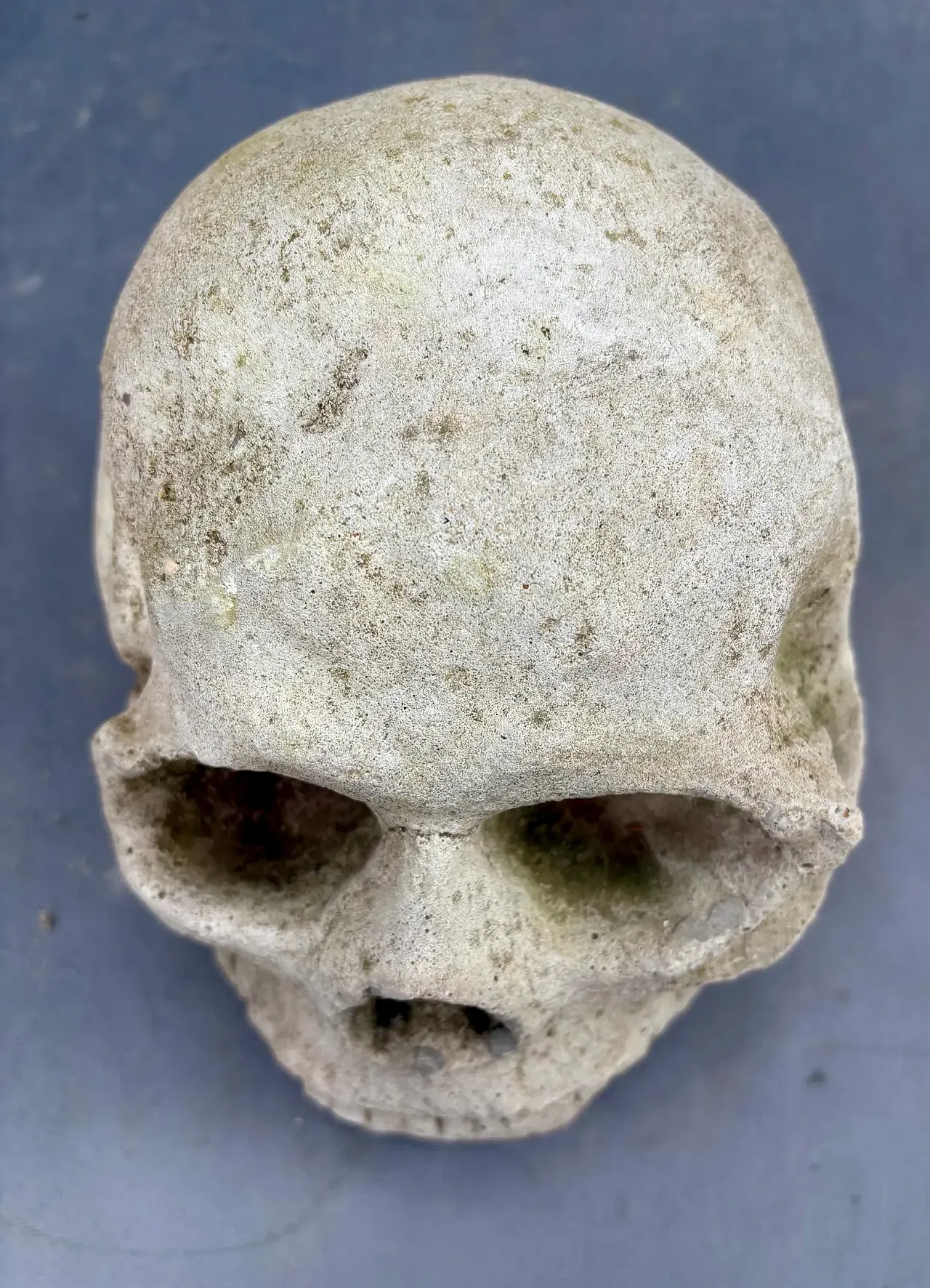 Gothic gargoyle head, stoneware relic sculpture, 18th century 4