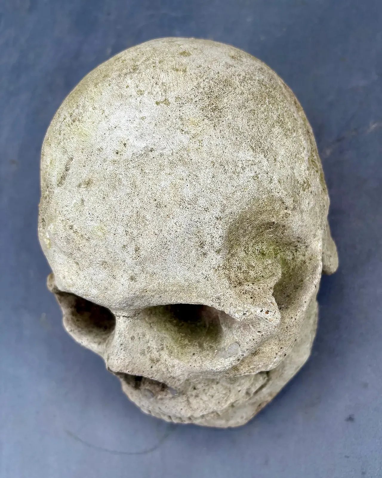 Gothic gargoyle head, stoneware relic sculpture, 18th century 5