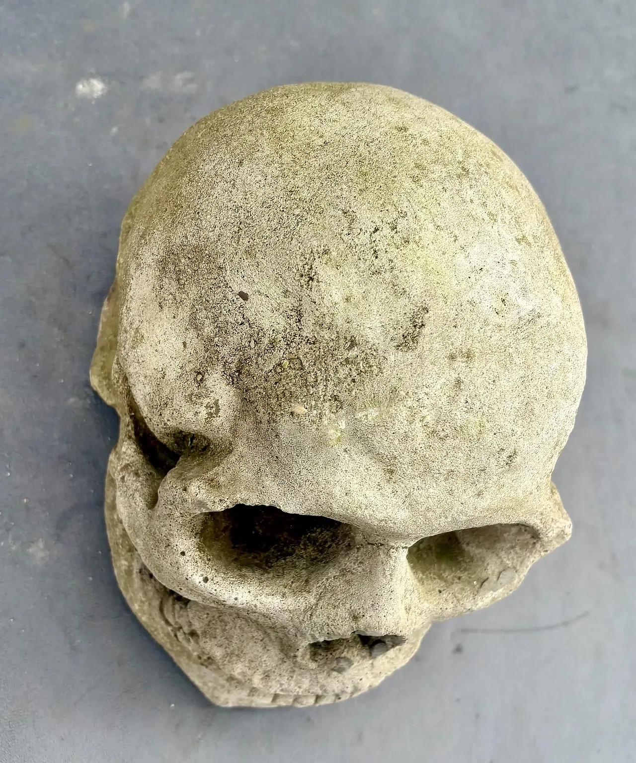 Gothic gargoyle head, stoneware relic sculpture, 18th century 7