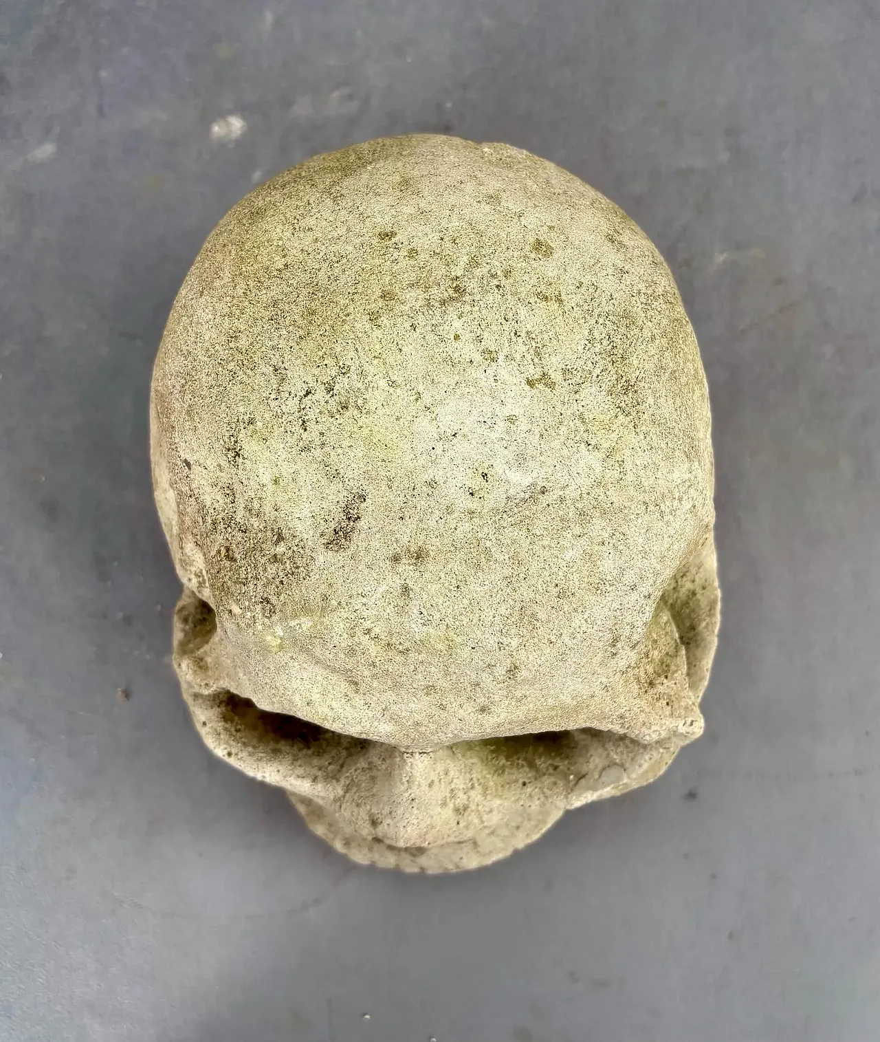 Gothic gargoyle head, stoneware relic sculpture, 18th century 8