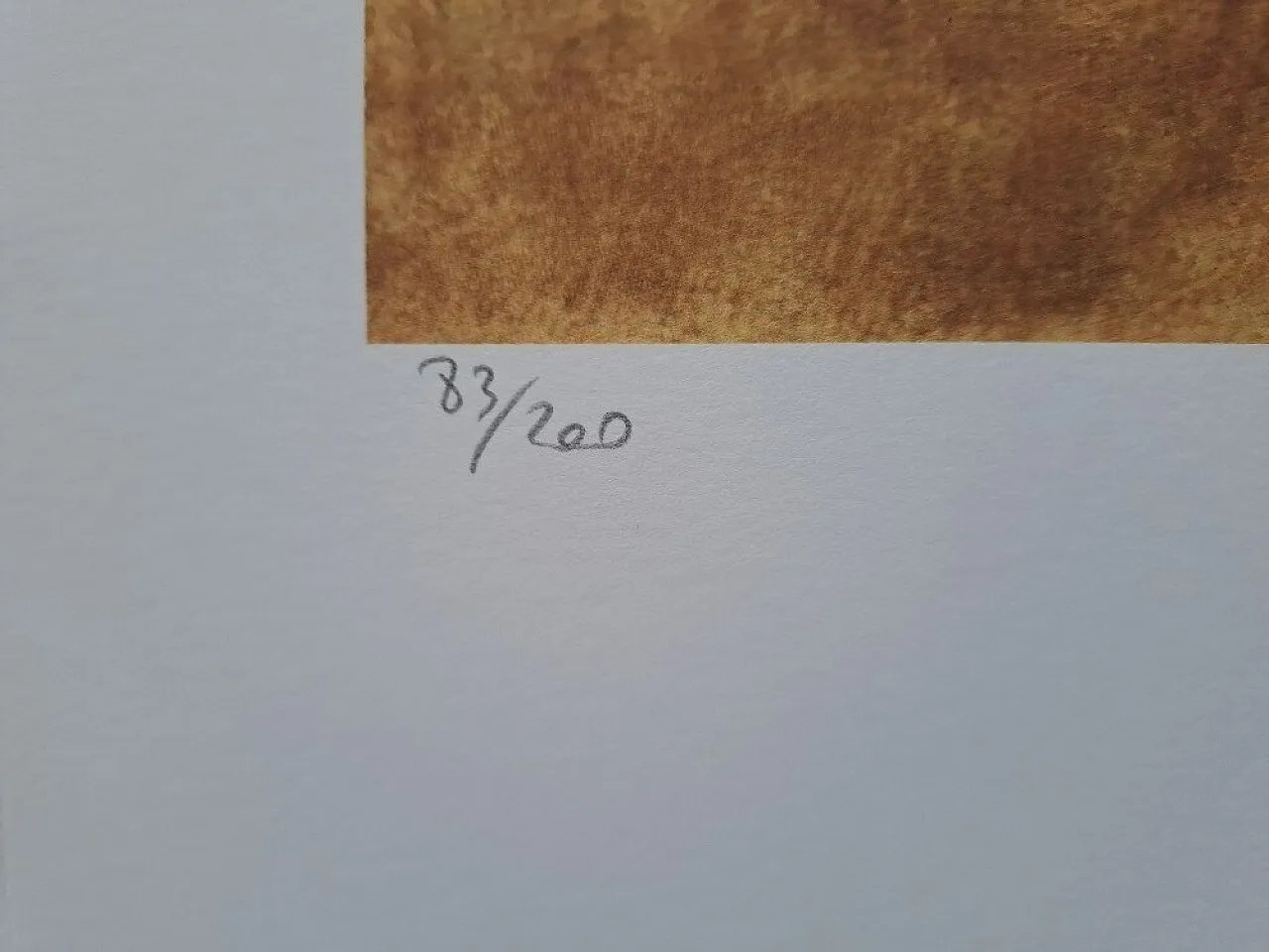 Nudo sdraiato di Egon Schiele, '900 3