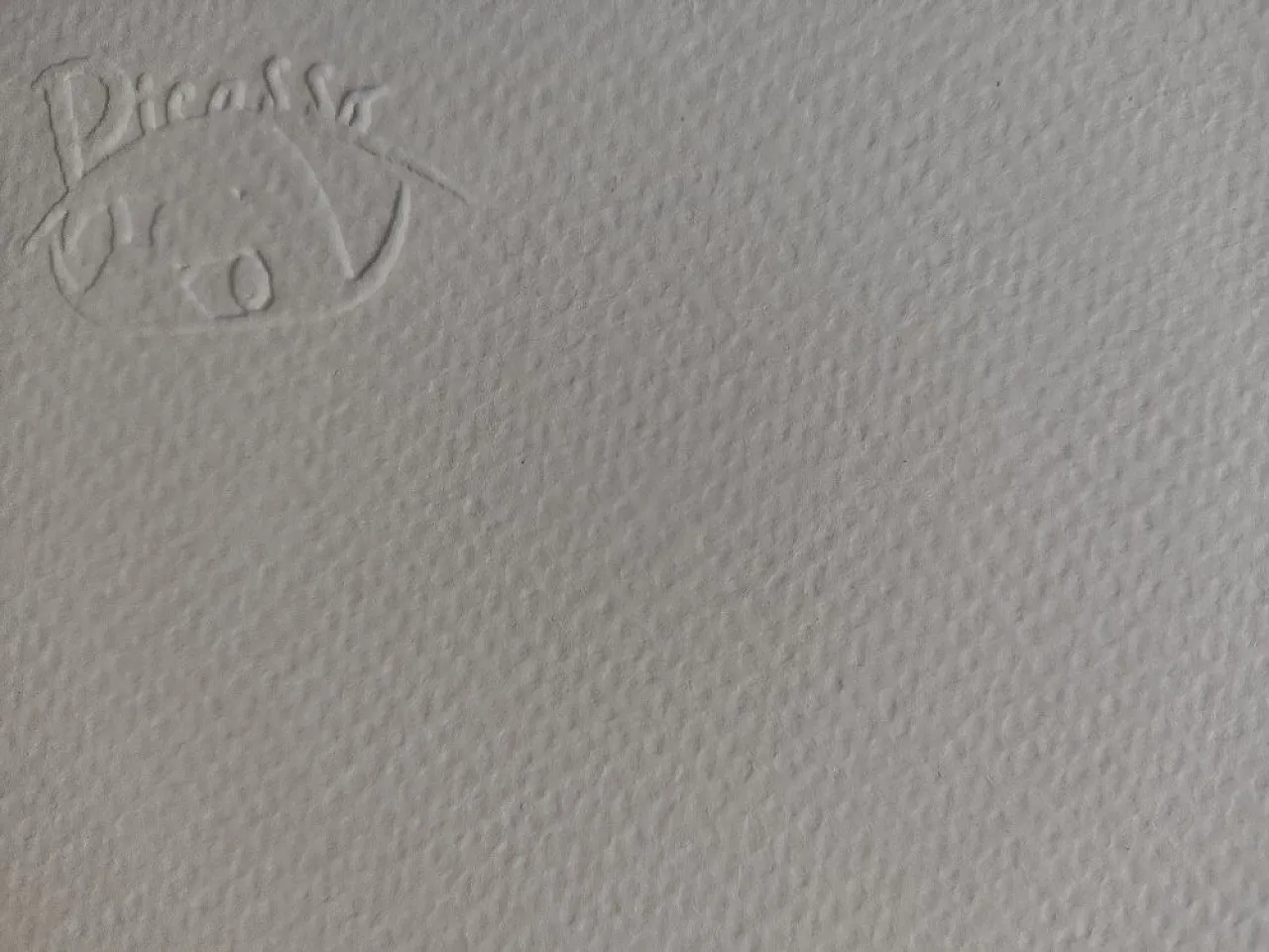 Ritratto di donna con cappello di Pablo Picasso, '900 4