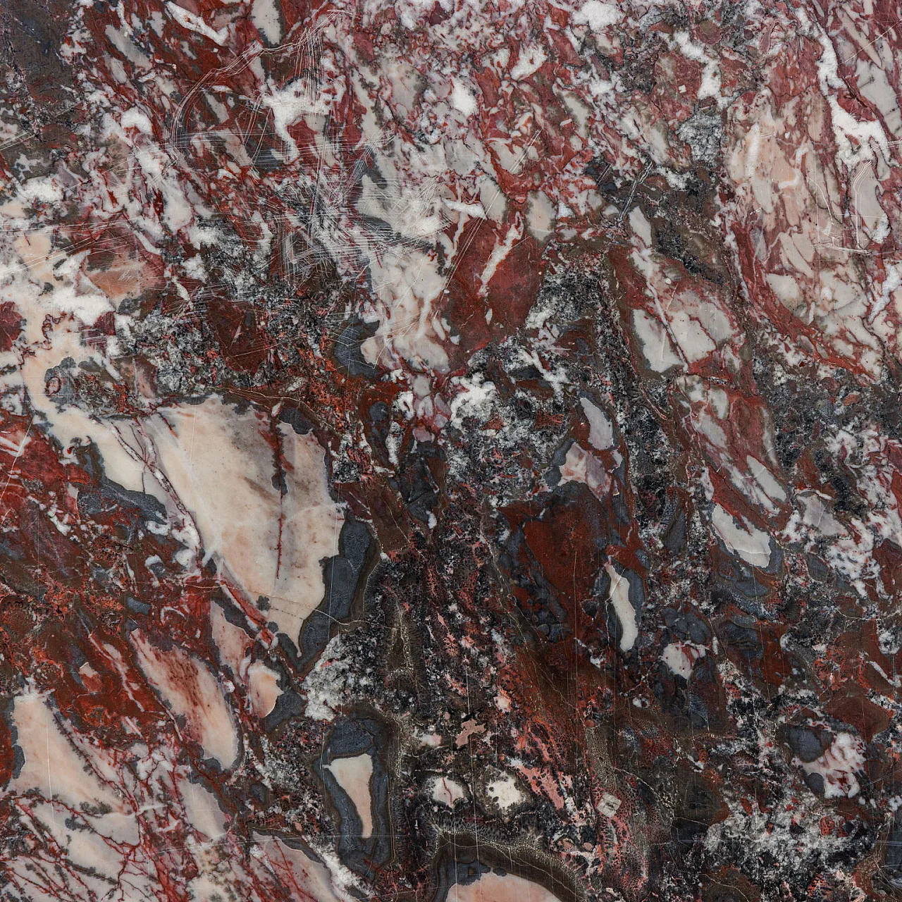 Pair of antique Medici breccia marble tops, 19th century 6