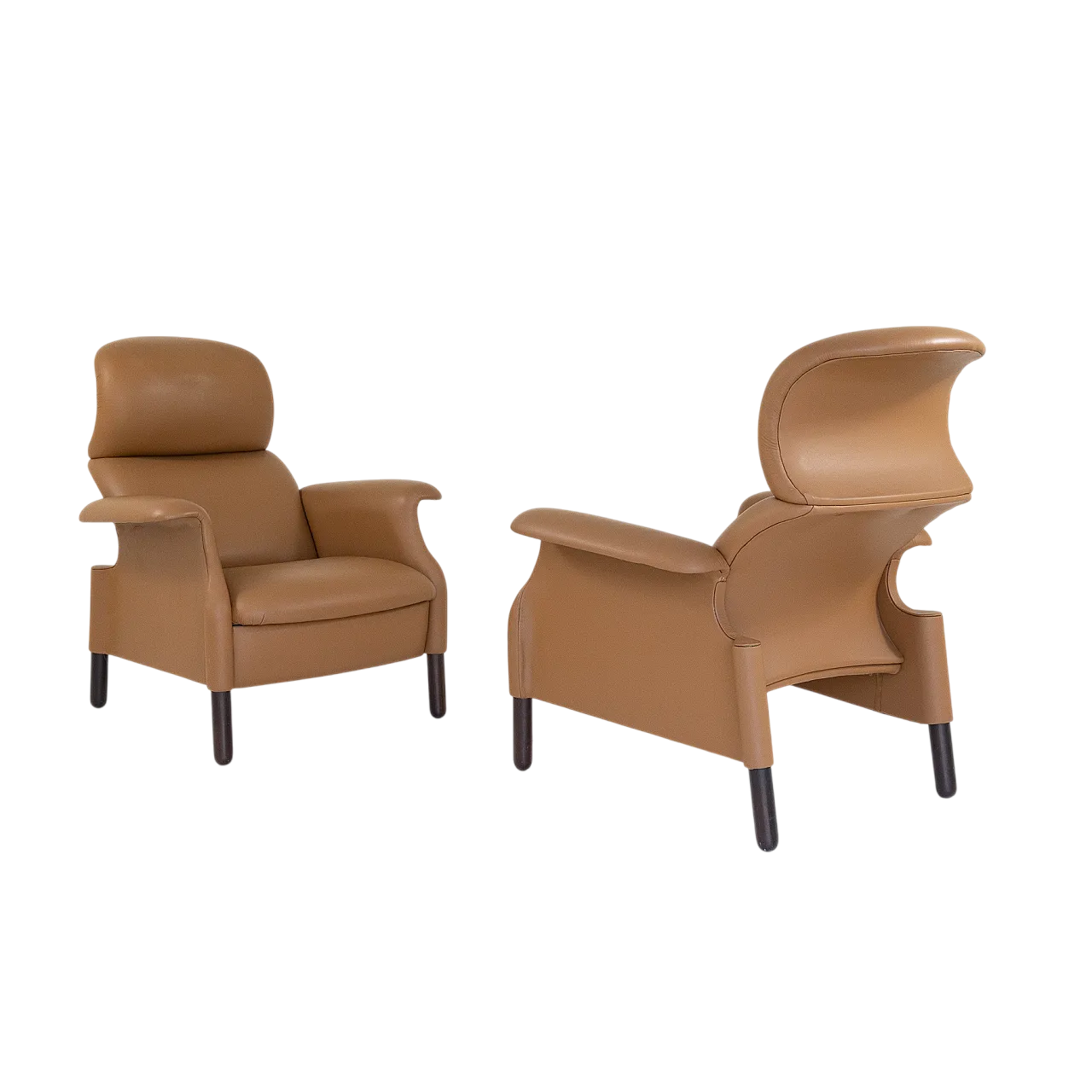 Coppia di poltrone Sanluca di A. e P.G. Castiglioni per Gavina, anni '60 9