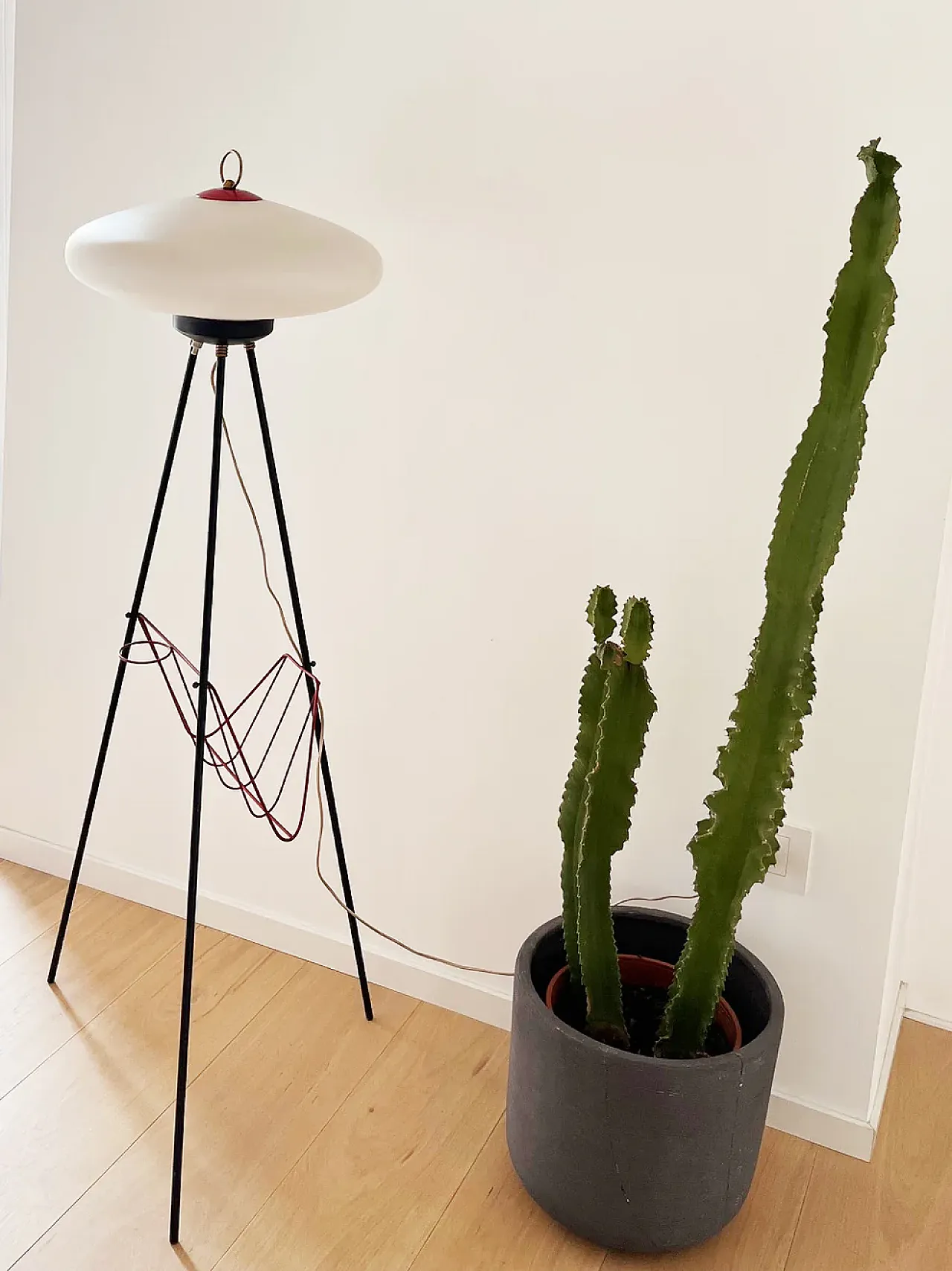 Floor lamp with magazine door, 1950s 3