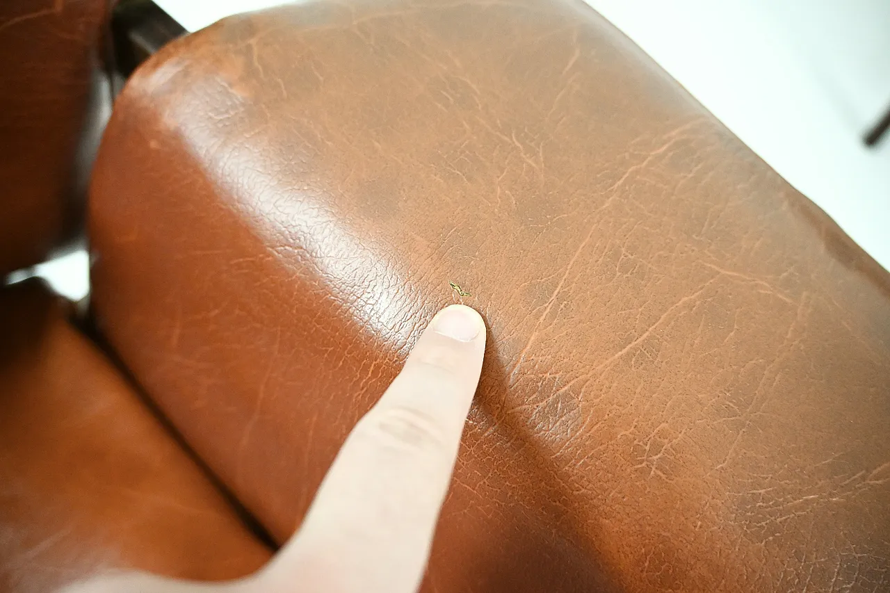 Coppia di poltrone "849" di Gianfranco Frattini per Cassina, anni '50 12