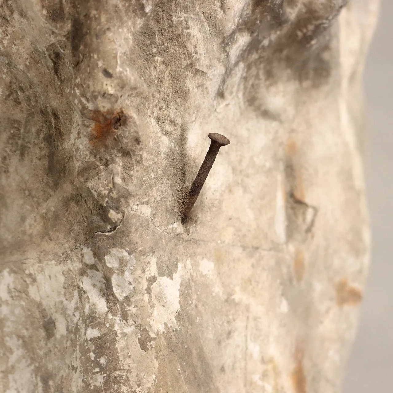 Scultura in gesso raffigurante un leone seduto, '800 10