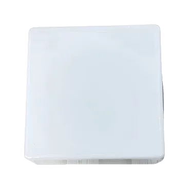 White glass ceiling lamp by RZB Bamberg, 1970s