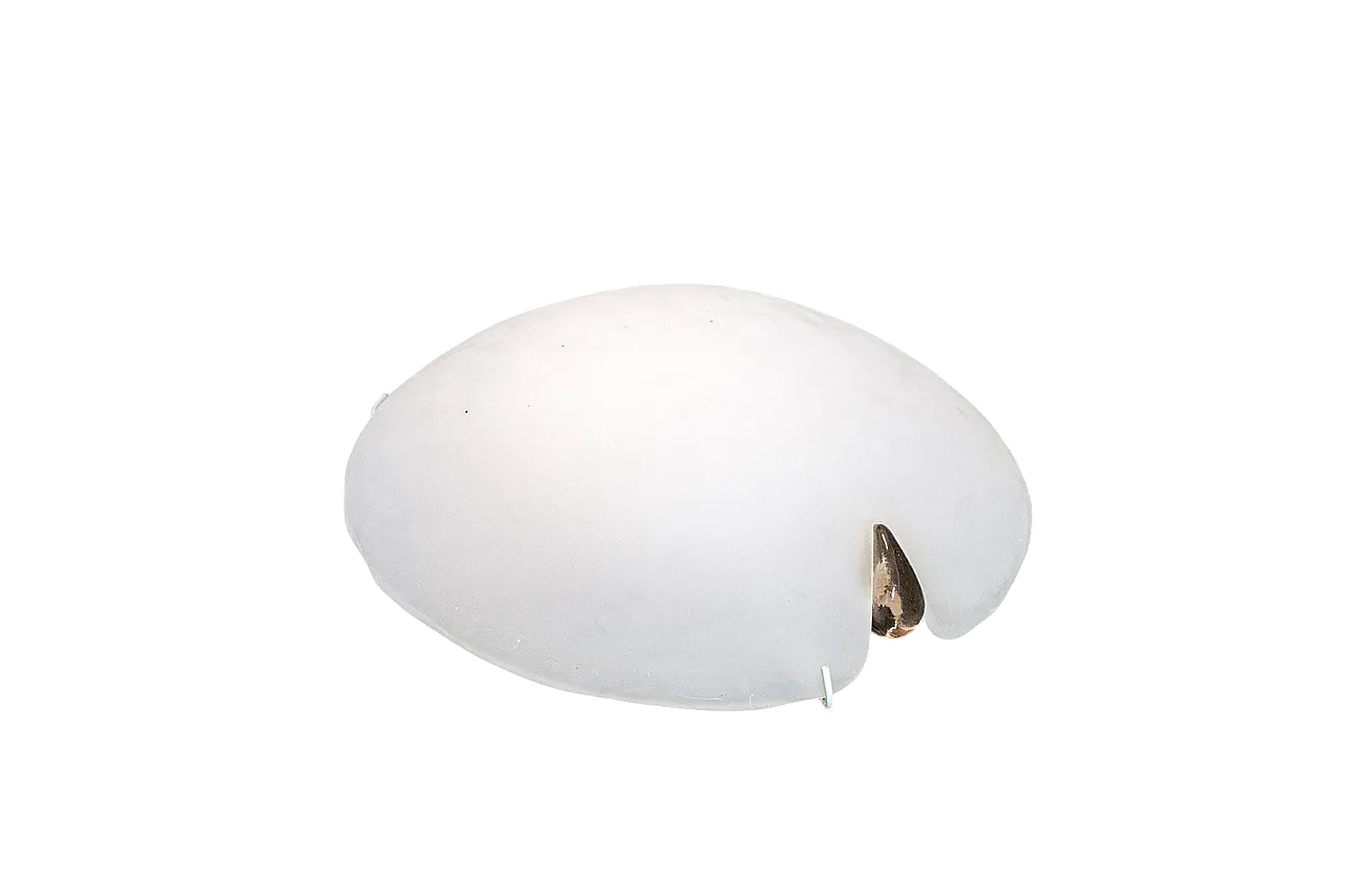 Lampada da soffitto o da parete in vetro di Murano di Mazzega, anni '80 5