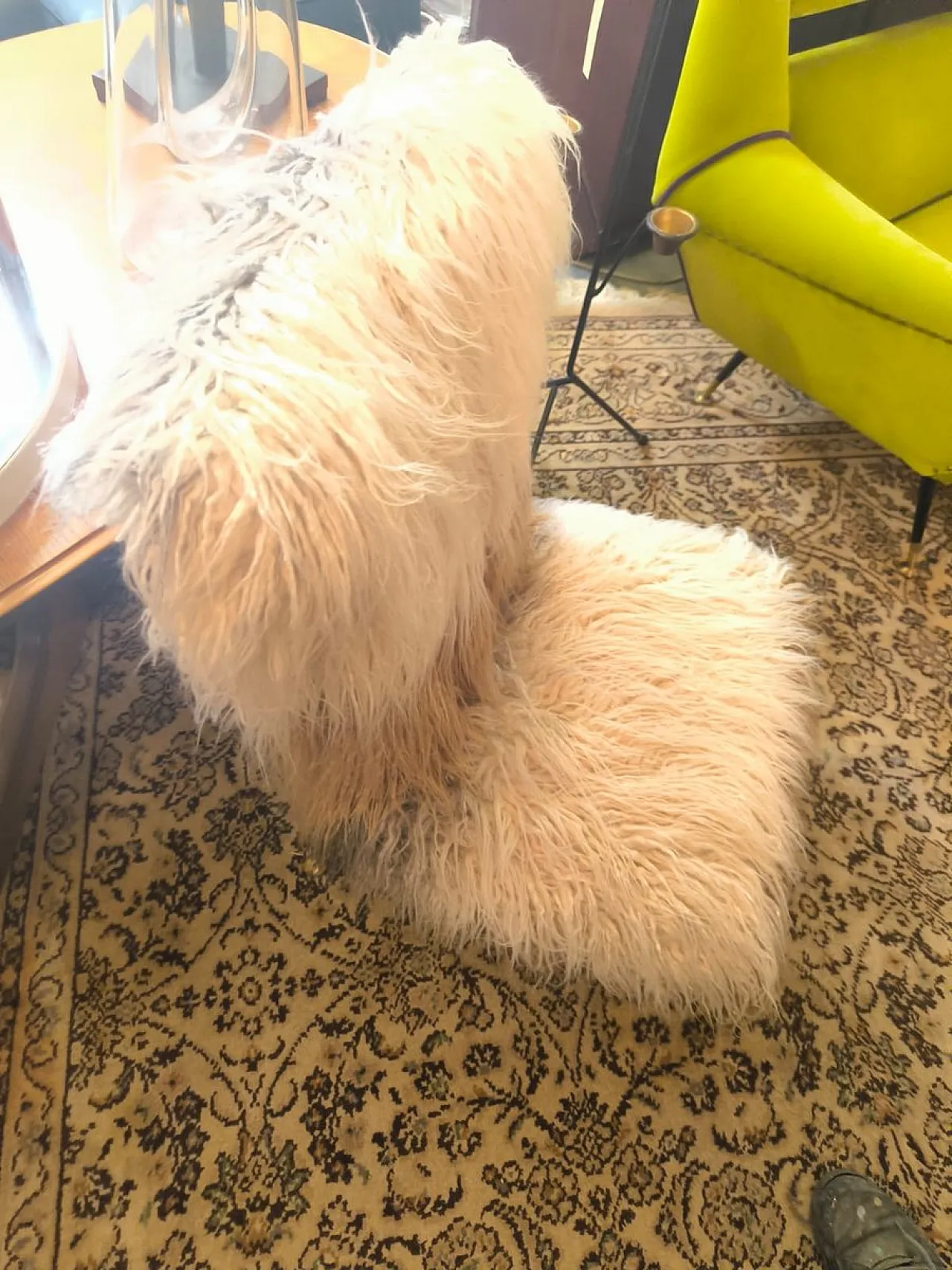 Pair of Tibetan armchairs, 1970s 2