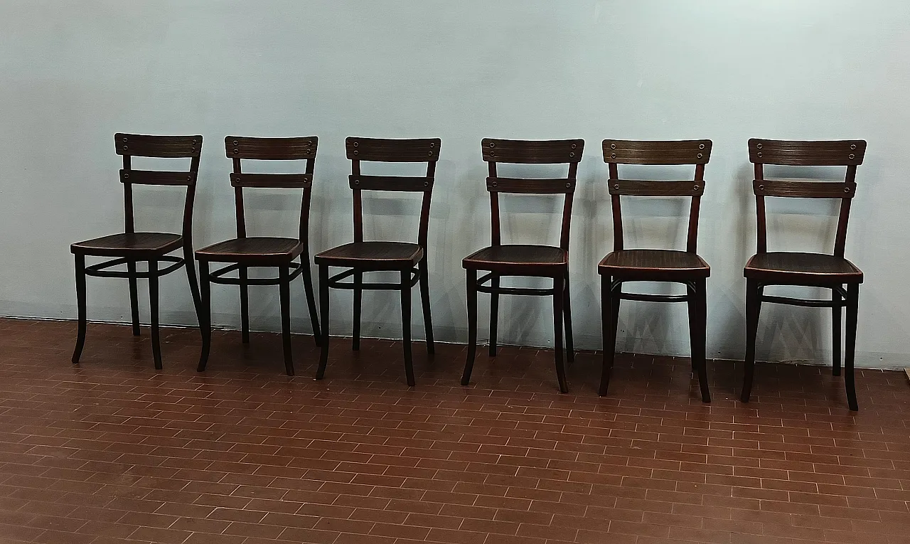 6 sedie Thonet, mod. 651, anni '30 3