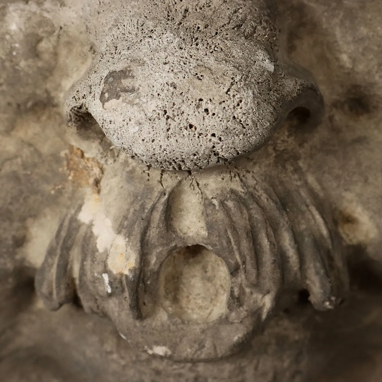Plaster tile depicting a ferine mask, 19th century 7