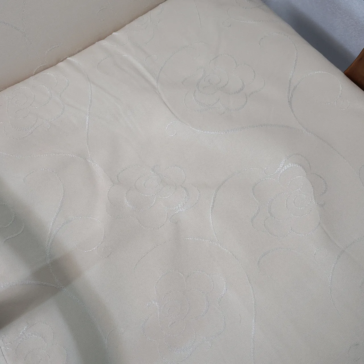 Camea reclining armchair by Renzo Franchi Camerani, 1950s 19