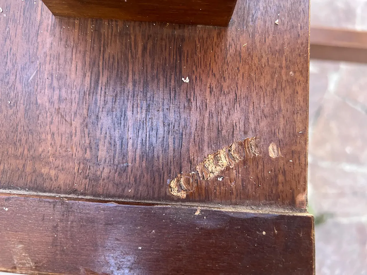 Model 611 walnut dining table by Silvio Coppola for Bernini, 1980s 8