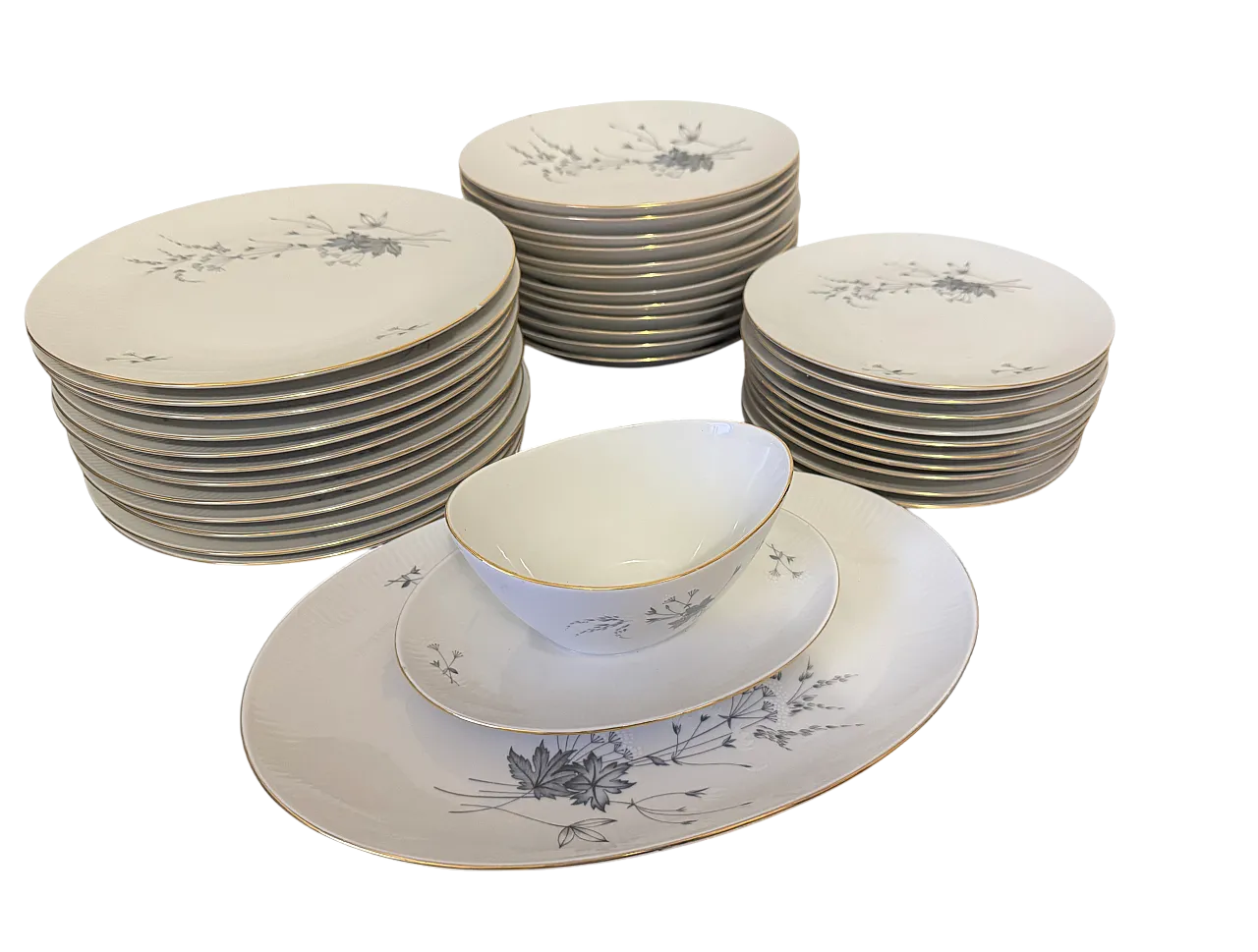 Seltmann Weiden Bavaria dinner set Monika series 10