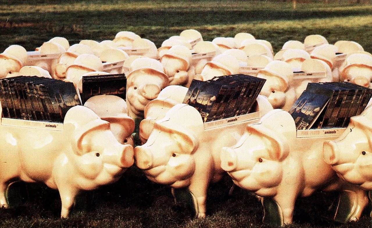 Record display stand for Pink Floyd's album Animals, 1977 13