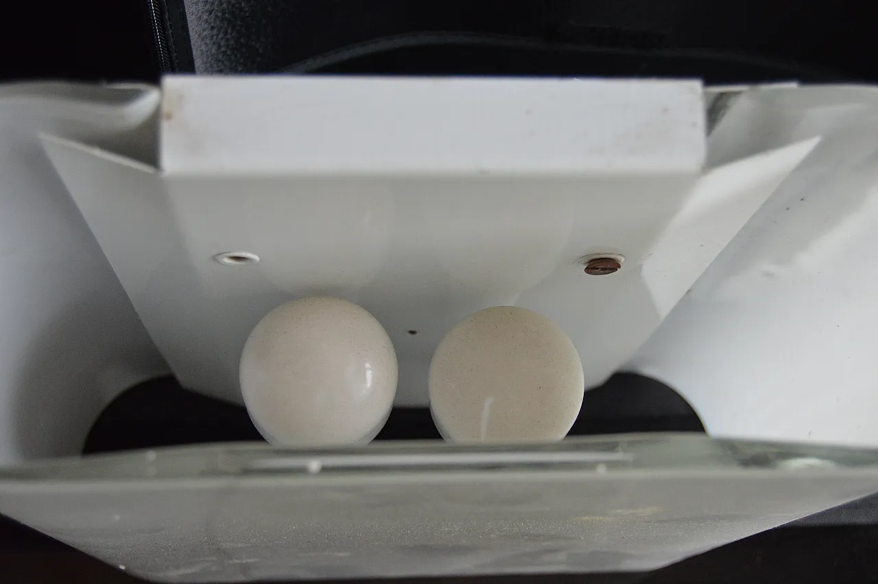 8 Applique in vetro di Murano, bianco e trasparente, anni '70 10