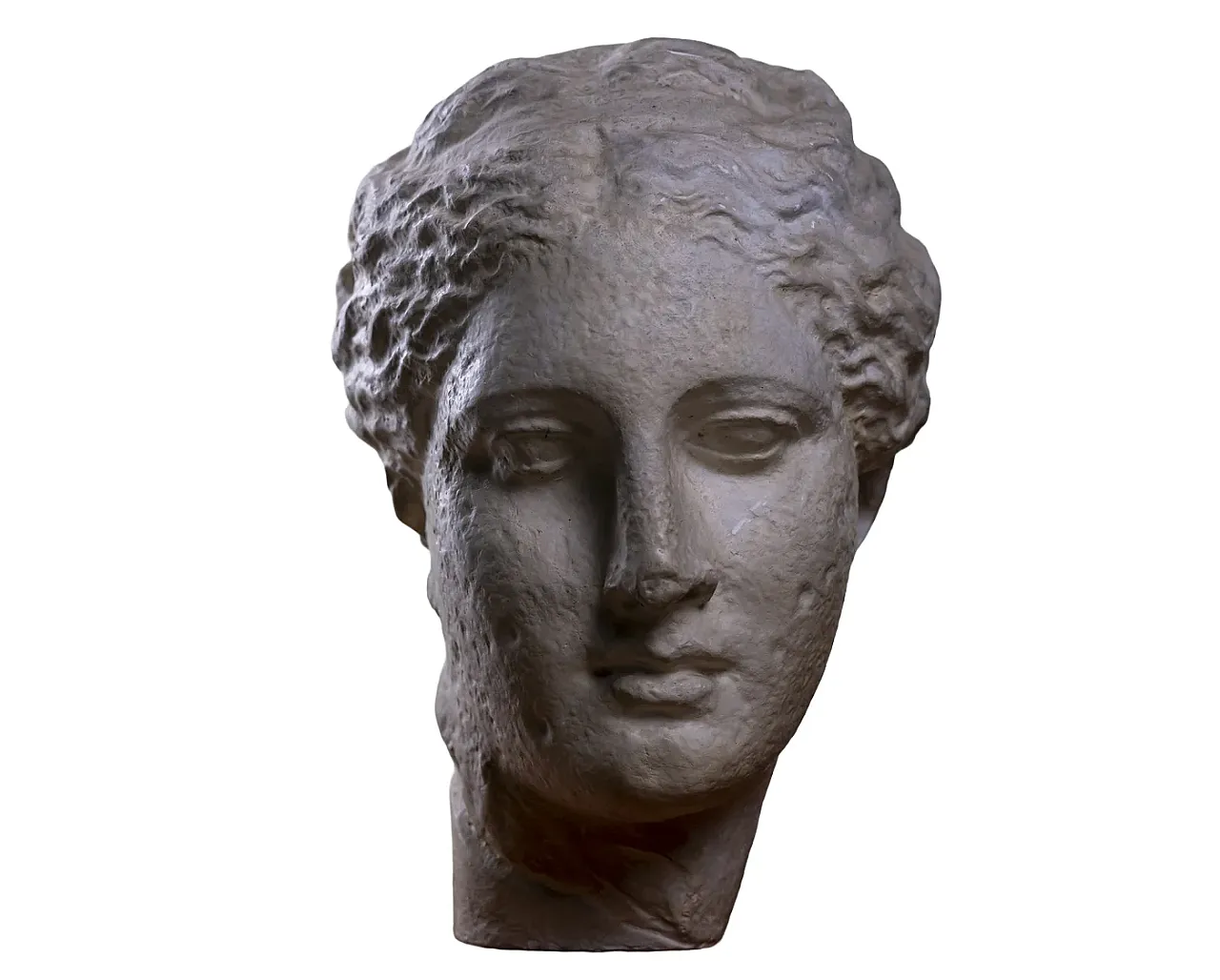 Testa della dea greca Igea, scultura in gesso, inizio '900 1
