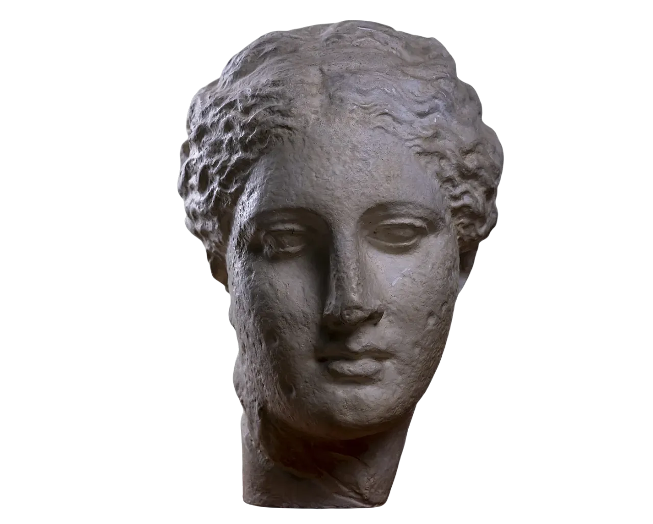 Testa della dea greca Igea, scultura in gesso, inizio '900 7