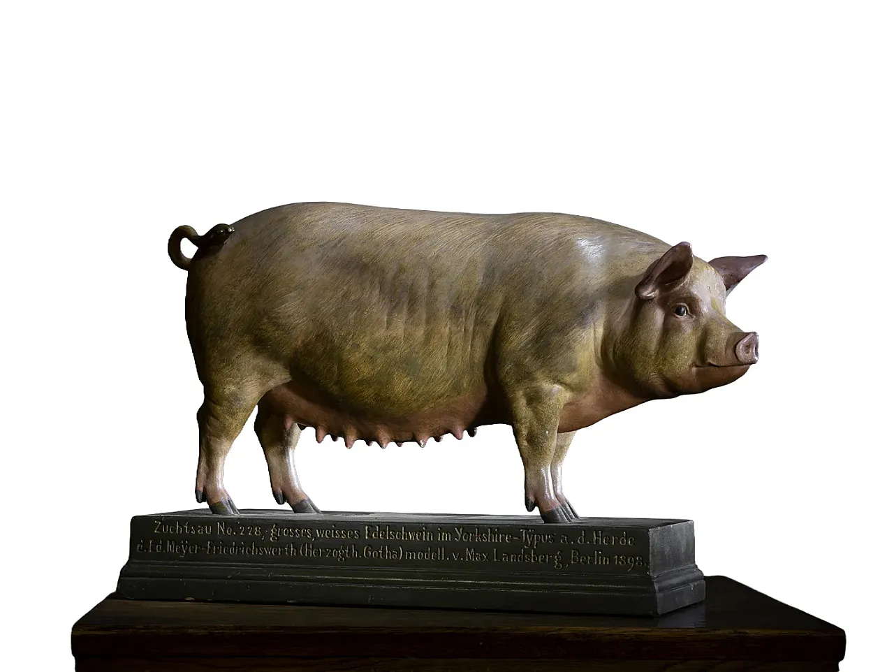 Modello di maiale di Max Landsberg, '800 1