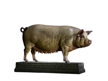 Modello di maiale di Max Landsberg, '800