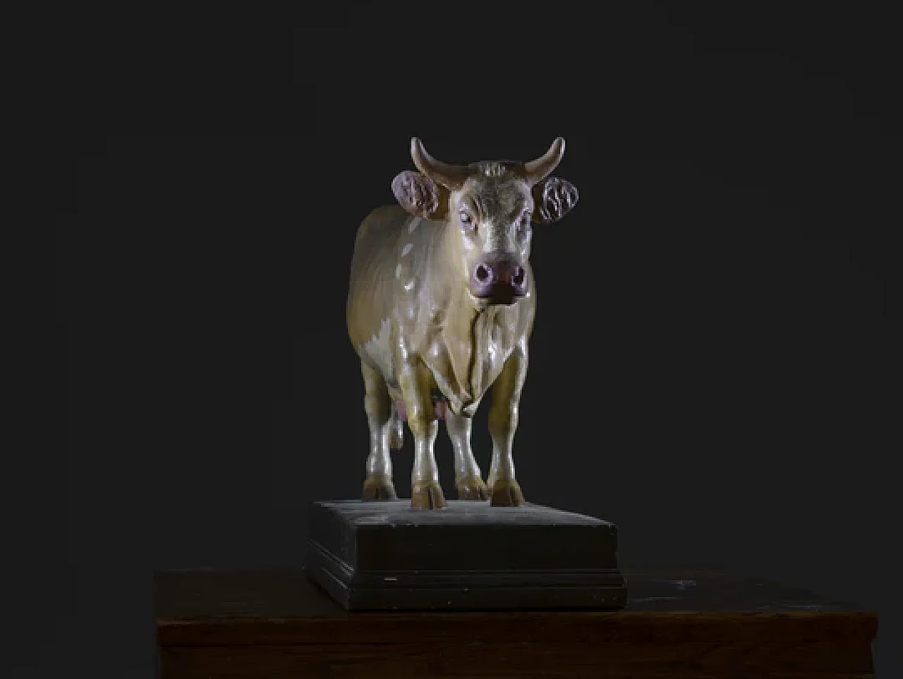 Modello di mucca di Max Landsberg, '800 5