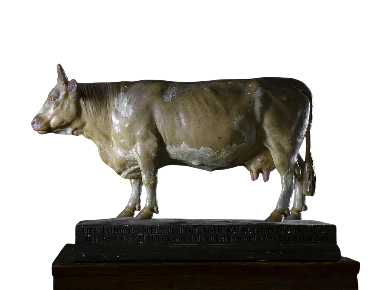 Modello di mucca di Max Landsberg, '800 6