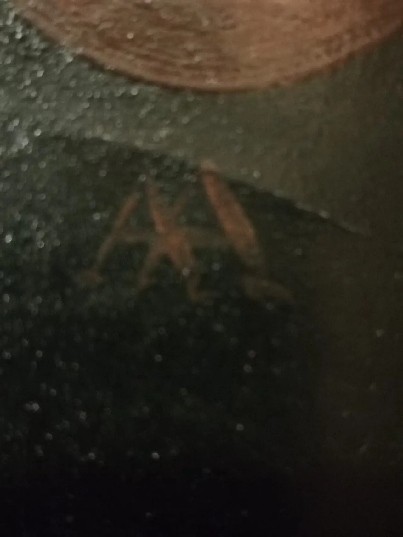 Andrea Appiani, two Figurative Scenes, oil on canvas, 19th century 4