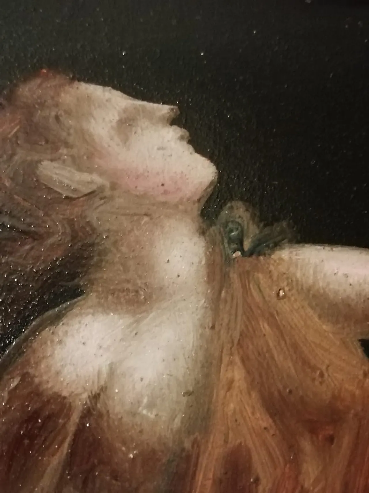 Andrea Appiani, two Figurative Scenes, oil on canvas, 19th century 9