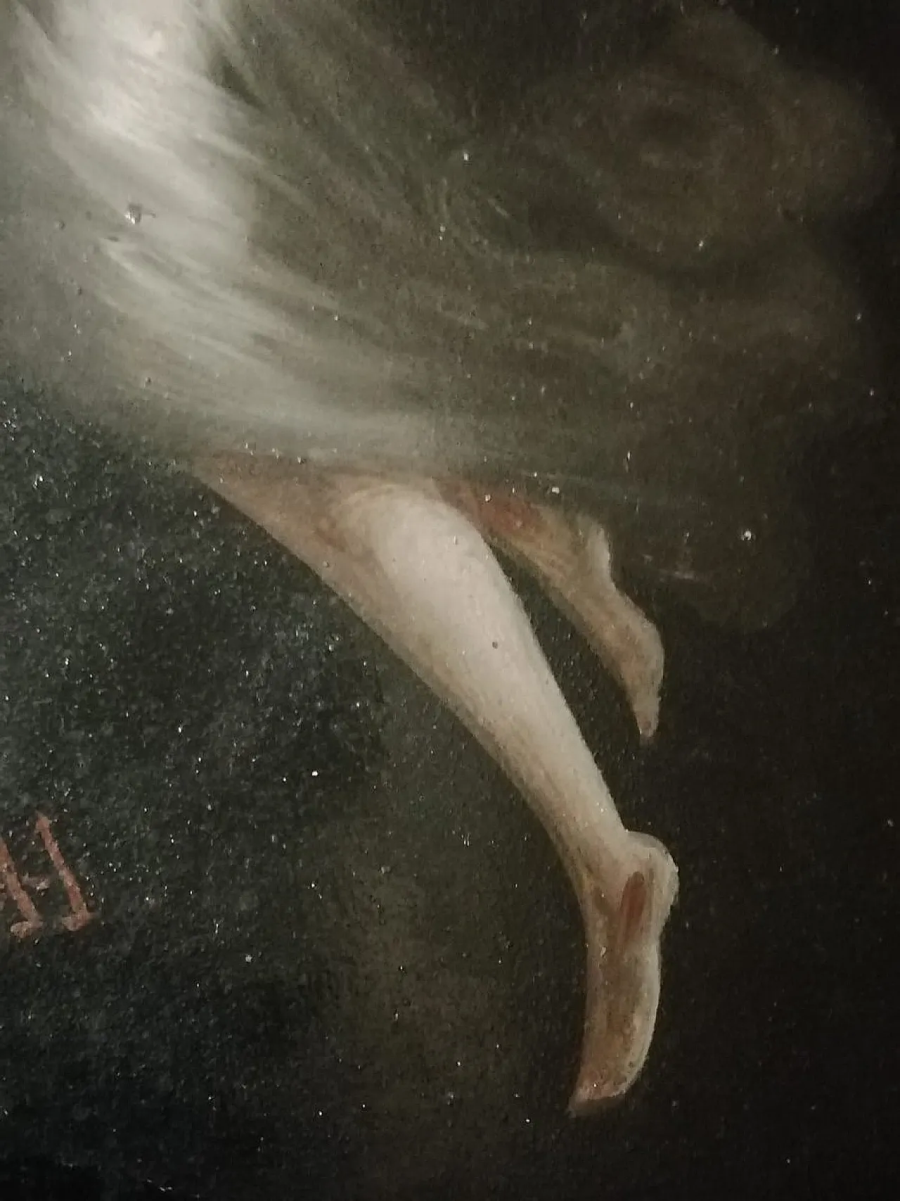 Andrea Appiani, two Figurative Scenes, oil on canvas, 19th century 14