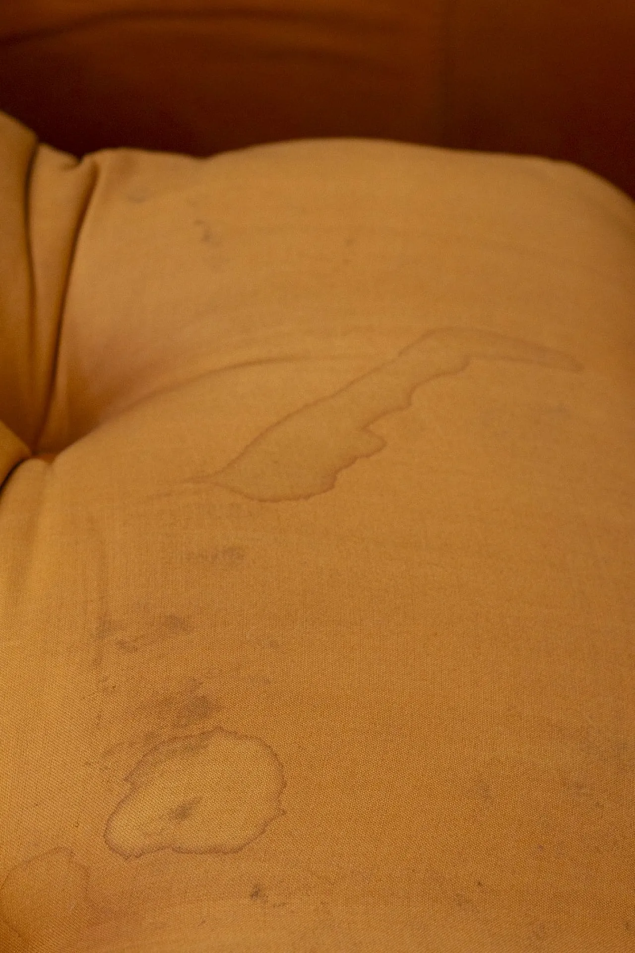 Pair of  armchairs mod. Coronado by Tobia Scarpa for B&B Italia, 60s 13