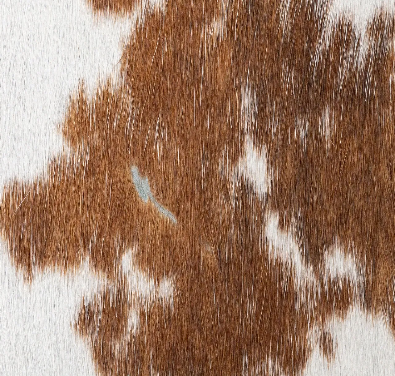 Pouf Contenitore in Legno rivestito in Pelle 11