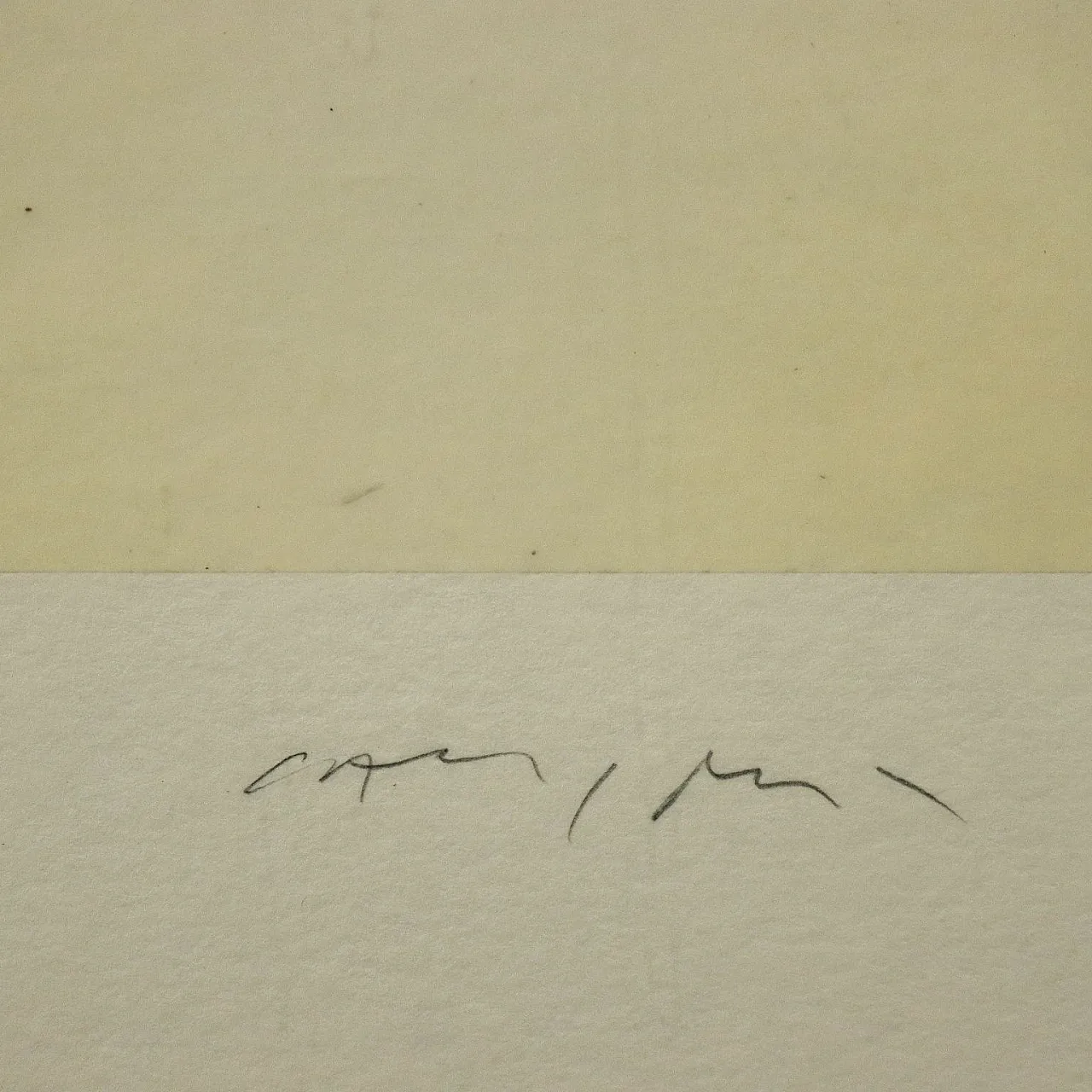 Luca Caccioni, tecnica mista su carta con cornice, '900 5