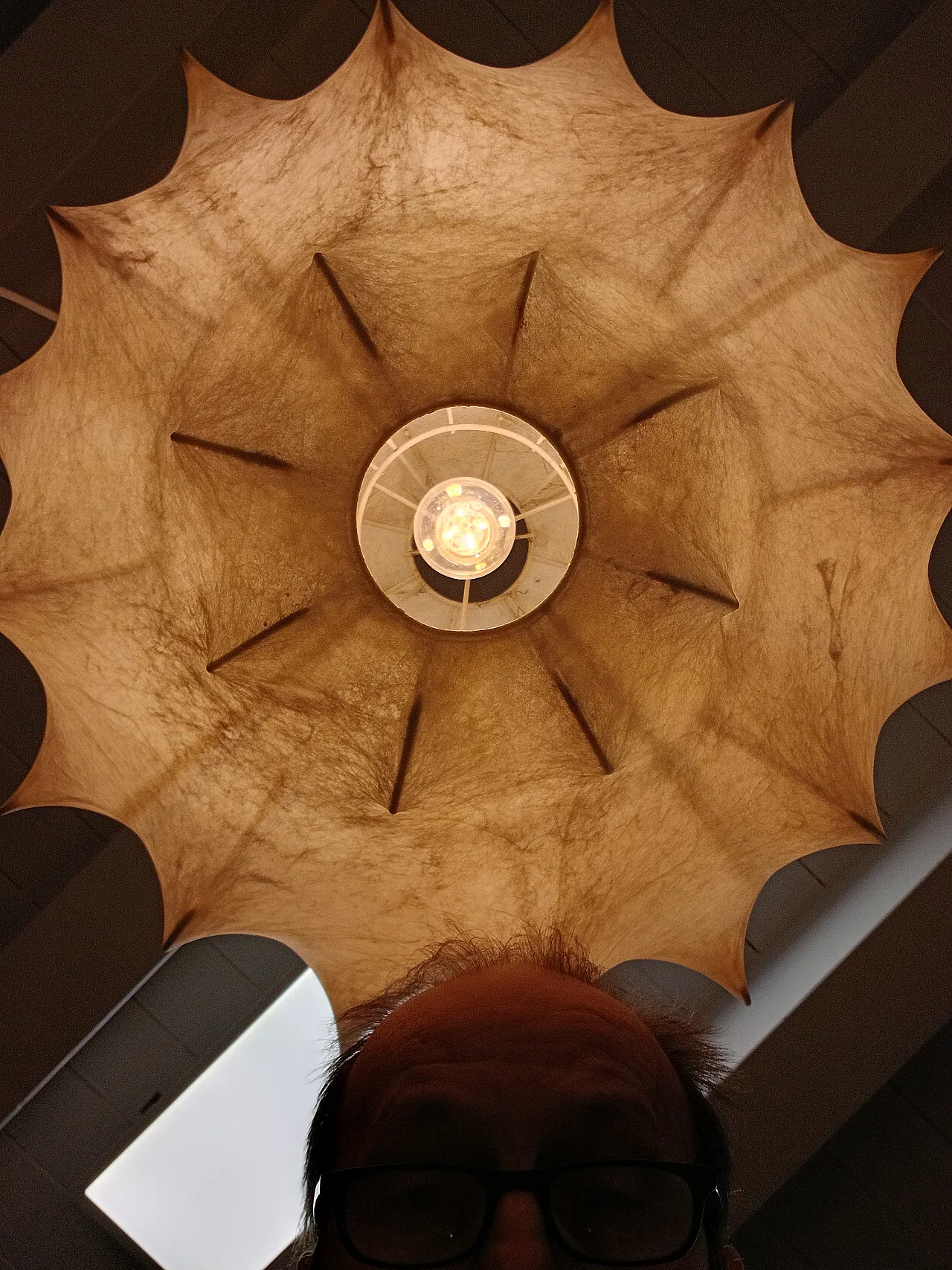 Lampadario Flos Taraxacum, anni '70 9