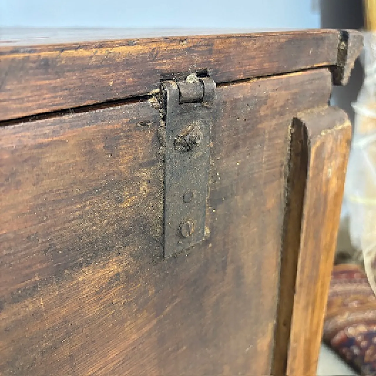 Sienese wood bread cupboard restored pantry,  19th century 3