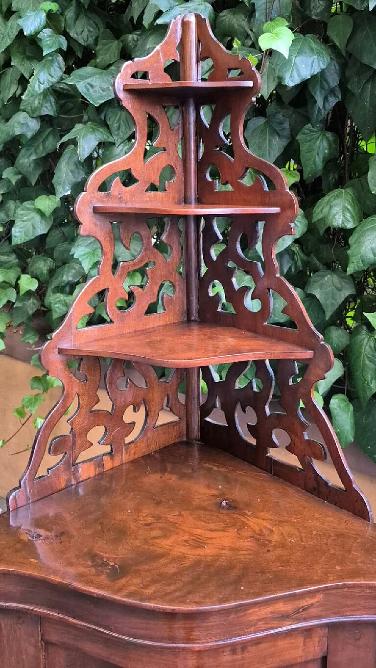 Cantonal with walnut tree, 19th century 5