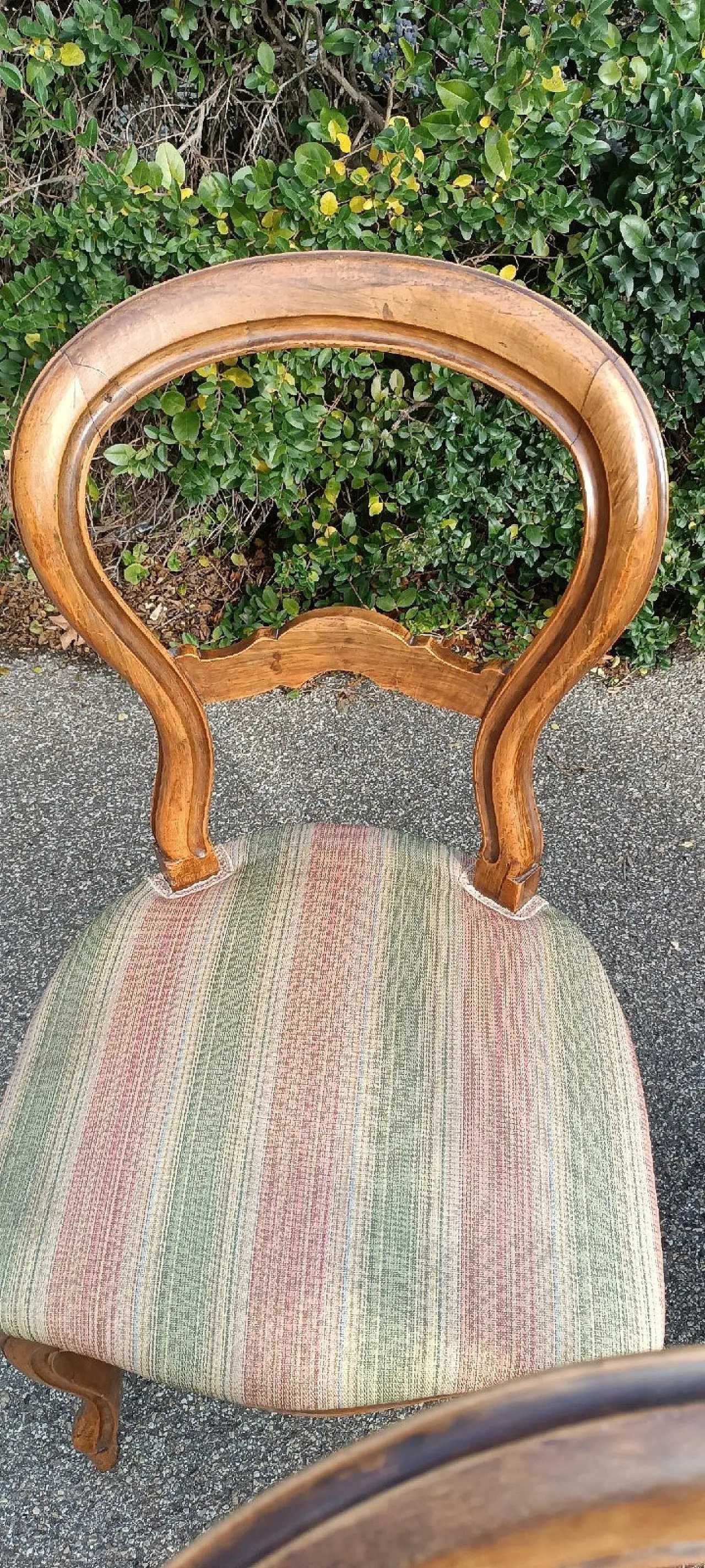 4 Sedie in noce, metà '800 6