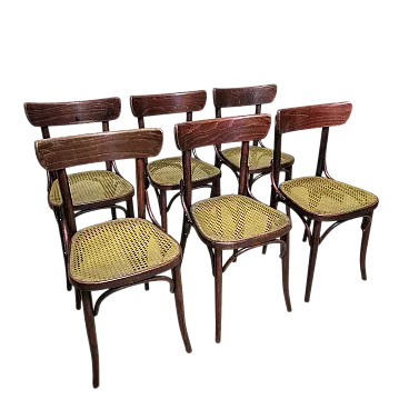 6 Sedie da pranzo in stile Thonet, anni '60