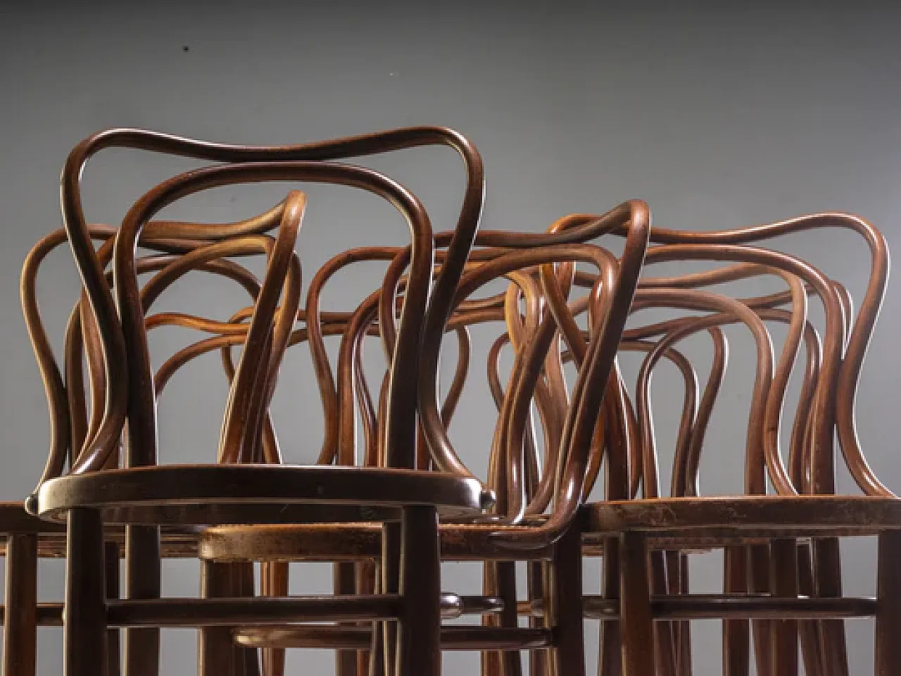 12 sedie di J. & J. Kohn, inizio '900 4