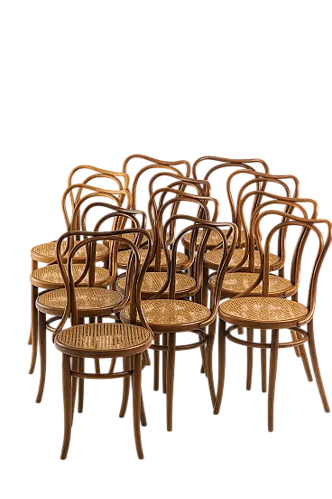 12 sedie di J. & J. Kohn, inizio '900