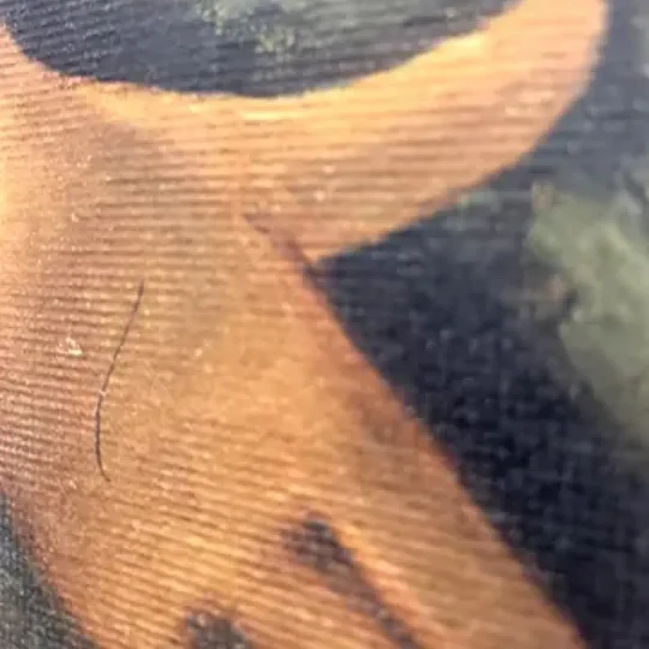 Giovane pescatore italiano di G. De Curtis, olio su tela, '900 10