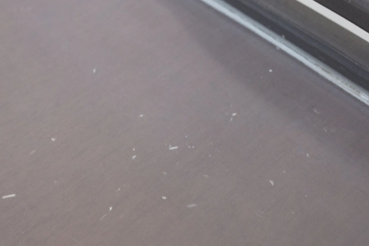 Wooden Trolley with Magazine Rack, 90s 15