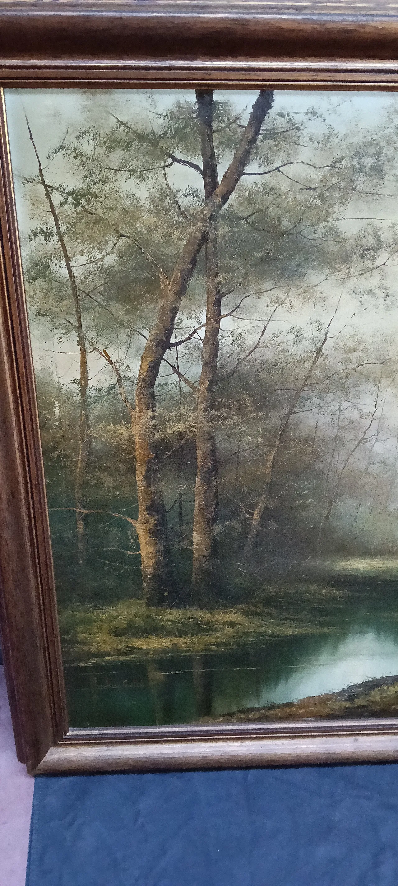 Scorcio del bosco di Luca de Guidi, olio su tela, anni '70 6