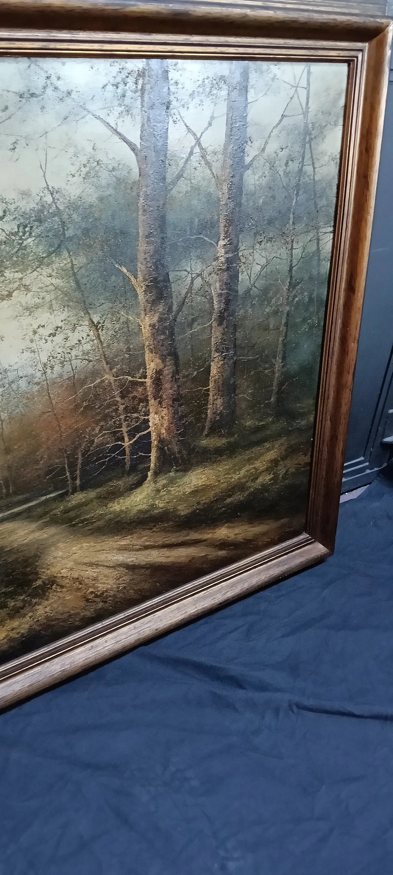 Scorcio del bosco di Luca de Guidi, olio su tela, anni '70 8