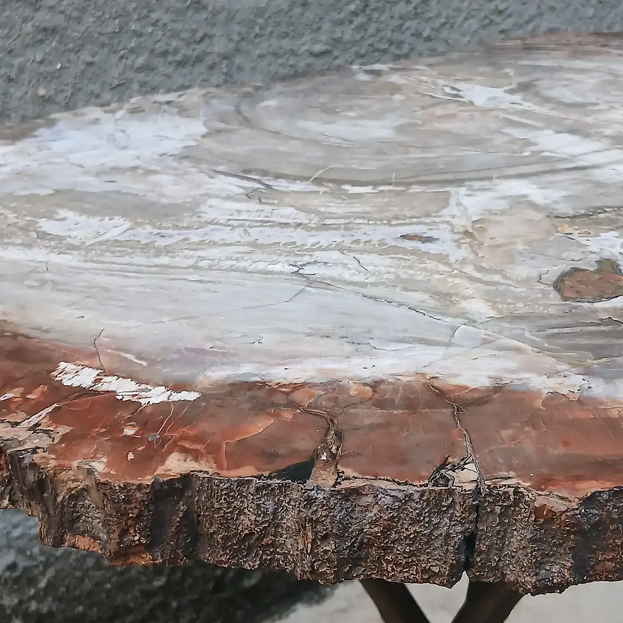 Sculptural table in fossil wood and bronze, mid-20th century 5