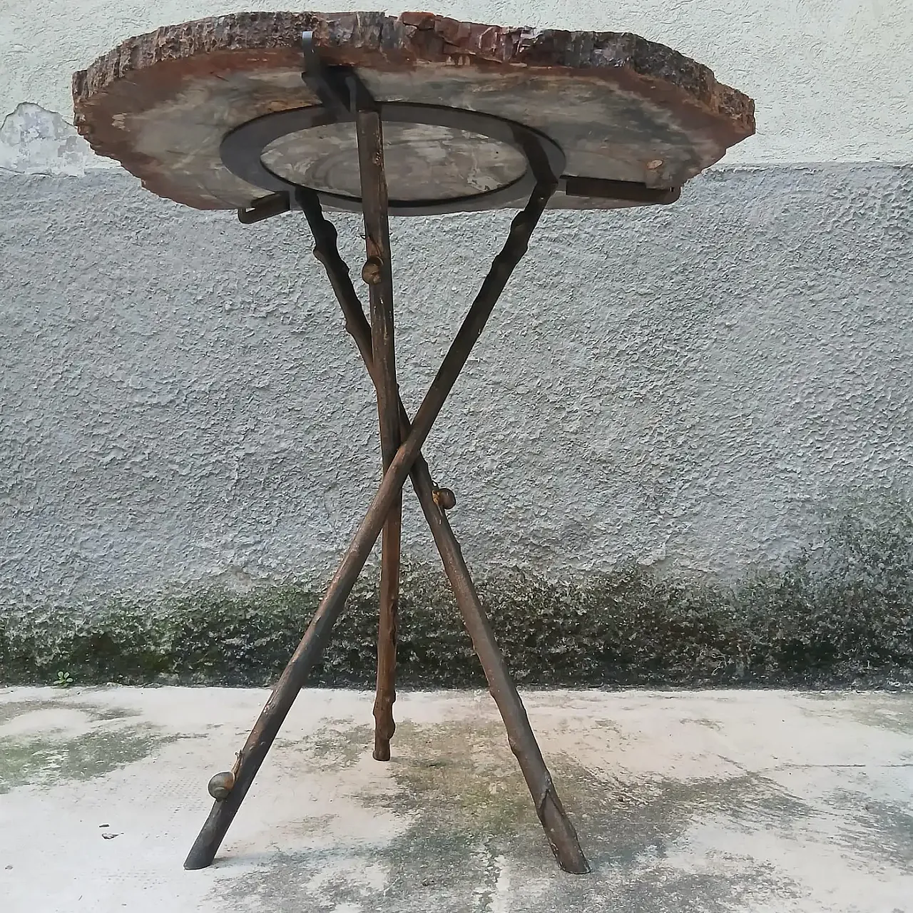 Sculptural table in fossil wood and bronze, mid-20th century 12
