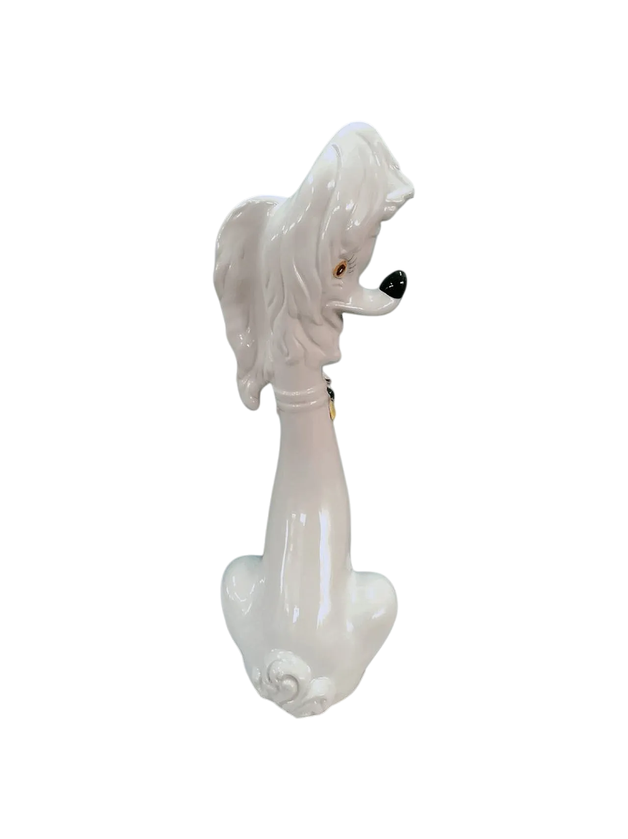 Statua cane Capodimonte, anni '60 11